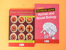 Secondary Books